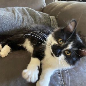 Meet your Posher, Margaretha